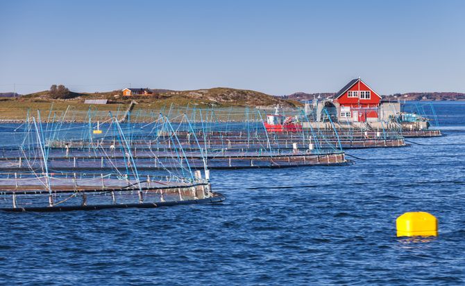 Illustrasjonsfoto: Colourbox.com