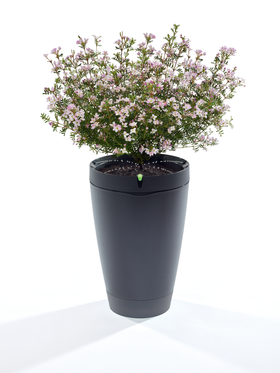 Også blomsterpotten kan kobles til smarthus-anlegget.