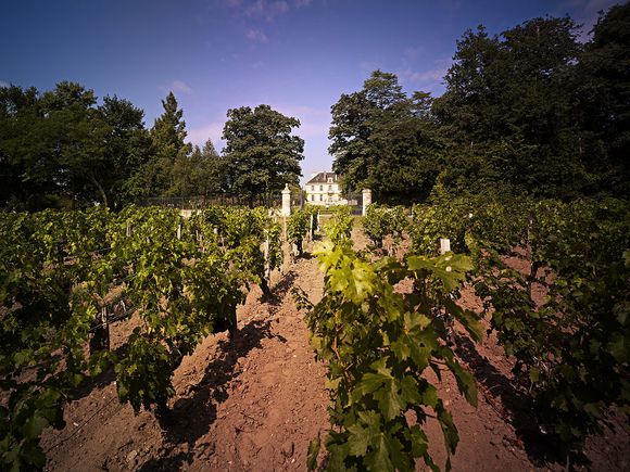 Château Kirwan.