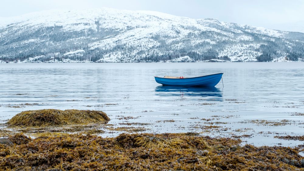Vi liker spesielt godt Fujifilms mange filmsimuleringsprofiler, som raskt gir oss flere ulike fargeuttrykk å velge mellom. 1/125s - f/5.6 - ISO 200. Behandlet fra råformat. Filmprofil «Classic Chrome».