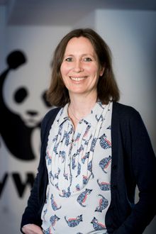 Hanne Jersild er seniorrådgiver innen klima i WWF Verdens naturfond. Hun har fulgt utviklingen i Europa i mange år, og legger merke til de nye meldingene fra de europeiske strømselskapene.