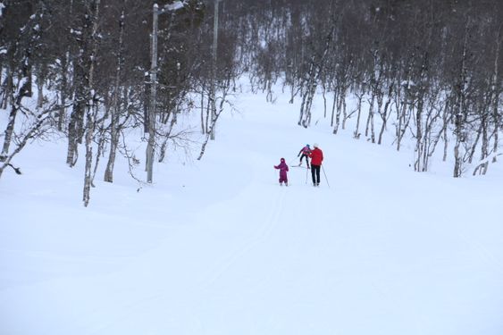 I PAKT MED SKOGEN OG ELEMENTA FYRSTE NYTTÅRSDAG: Emely, Linnea og bestemor Kari legg ut på den to kilometer lange sløyfa i Ofredalen fyrste nyttårsdag.