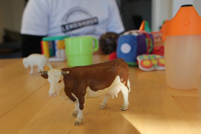 Denne kua får ikke være med i leken lengre. Den er eldre enn 2011, og kan avgi skadelige stoffer fra plasten. – Det er en grunn til at gamle leker er så solide, sier styrer i Borgen barnehage, Petter Eilertsen. Heller ikke gamle treleker får bli, da disse ofte er malt eller lakkerte med kjemiske stoffer.