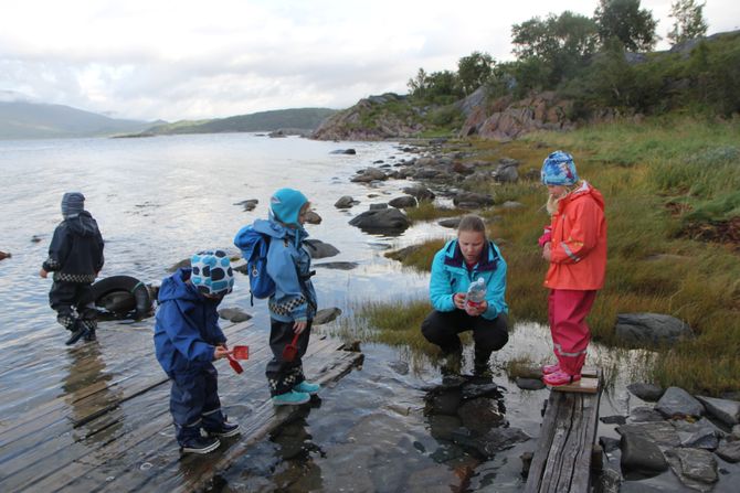 Det er Friluftslivets uke i Stemland gårdsbarnehage og turen går til fjæra for å hente sjøvann sammen med pedagogisk leder Julie Veigård.