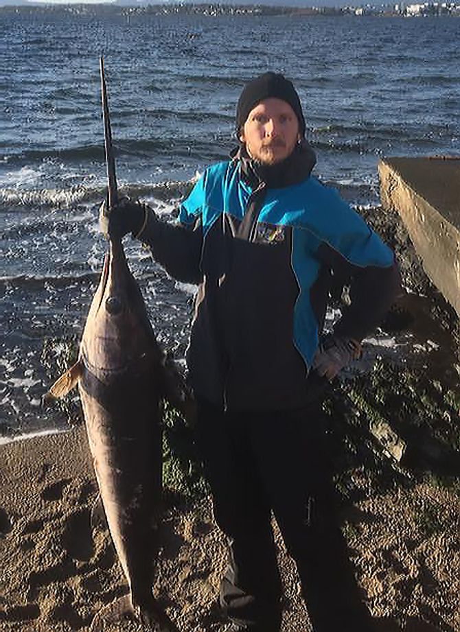 Med sverdet var sverdfisken omtrent like lang som Marius Skjold Heigård.