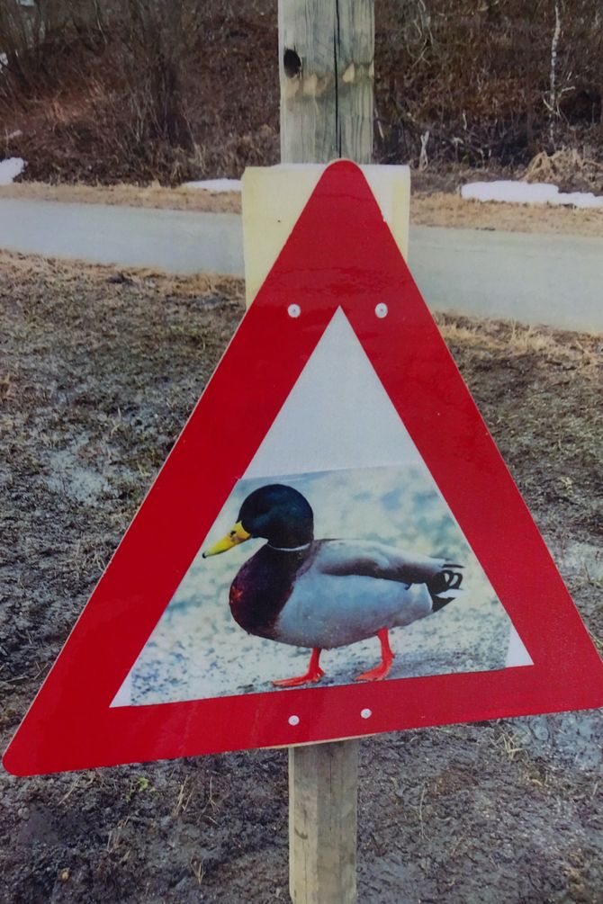 Skiltet viser tydelig at forbipasserende må kjøre forsiktig.