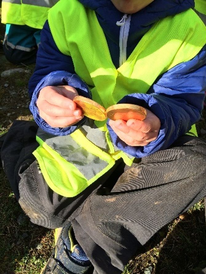 Tenk å finne en gullsjokoladeskatt i skogen!