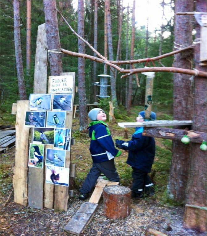 Fugleplassen i skogen.