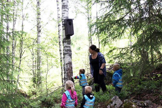 Barna og barnehagelærer Ingrid Bjørklund skraper en pinne mot trestammen for å se om det er ugle i uglekassa, men ingen ugle titter ut.