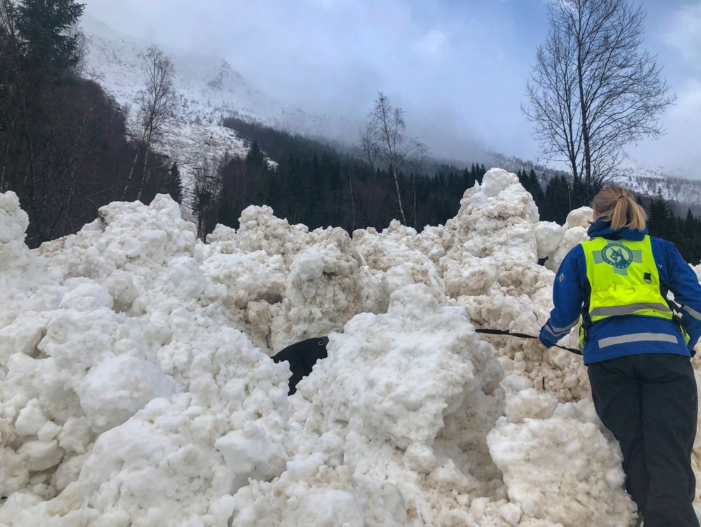 Et fem meter høyt snøskred sperrer søndag E39 ved Hornindalsvatnet i Sogn og Fjordane.