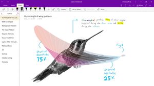 onenote.300x169.jpg