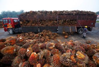 Palmeoljefrukter lesses av lastebil ved en palmeoljefabrikk i Indonesia i 2014.