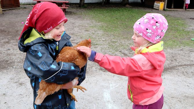 I Vollen barnehage i Bodø har de skaffet seg fem høner. Daglig leder Ann-Hilde Hansen og de to pedagogiske lederne Lill-Merethe Sveggen og Birgitte Nordby.