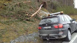 DekningsbilUvar.300x169.jpg