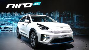 Kia%20Niro%20EV_2.300x169.jpg