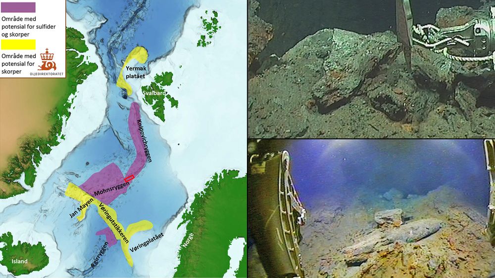 Oljedirektoratet har funnet et stort område med sulfidmineralerpå havbunnen, som ikke er kjent fra tidligere. Håpet er at det inneholder verdifulle metaller som på sikt kan utvinnes.
