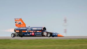 bloodhound1.300x169.jpg