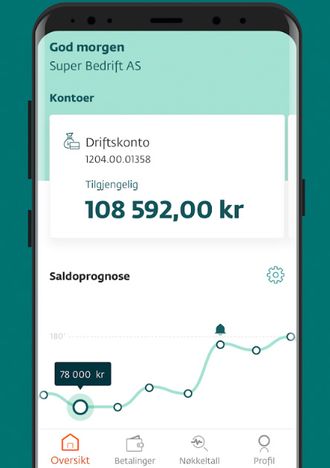 Skjermbilde fra DNB Puls-appen på Android.