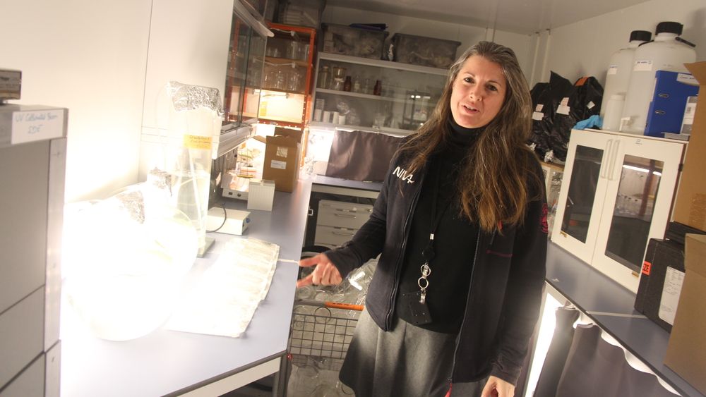 Stephanie Delacroix viser fram labben til NIVA hvor de tester ballstvann med kulturmetoden. Foto: Arne Fenstad.