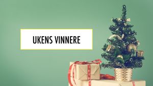 Vinnere.300x169.jpg