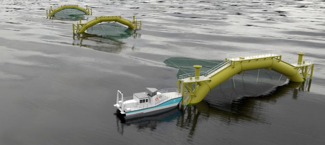 Pelaqua AS
Gründerselskap – dannet av Mads F. Heiervang, Pål Grøthe Sandnes, Audun Gravdal Johansen og Bernt Sørby.
Utviklet merdkonseptet Waveflex for eksponerte lokasjoner, bølger opp til Hs 15m
Konseptet er basert på tre stålringer, stilt vertikalt i vannet, slakkforankret med kjettingliner til havbunnen, med nøter spent opp rundt. To separate kamre for fisk. Fôring, oksygen mm. Via stålringene. Størrelse fullskala: Diameter på ringene: 50 meter. Total lengde: 240 meter. Biomasse: 6.234 tonn