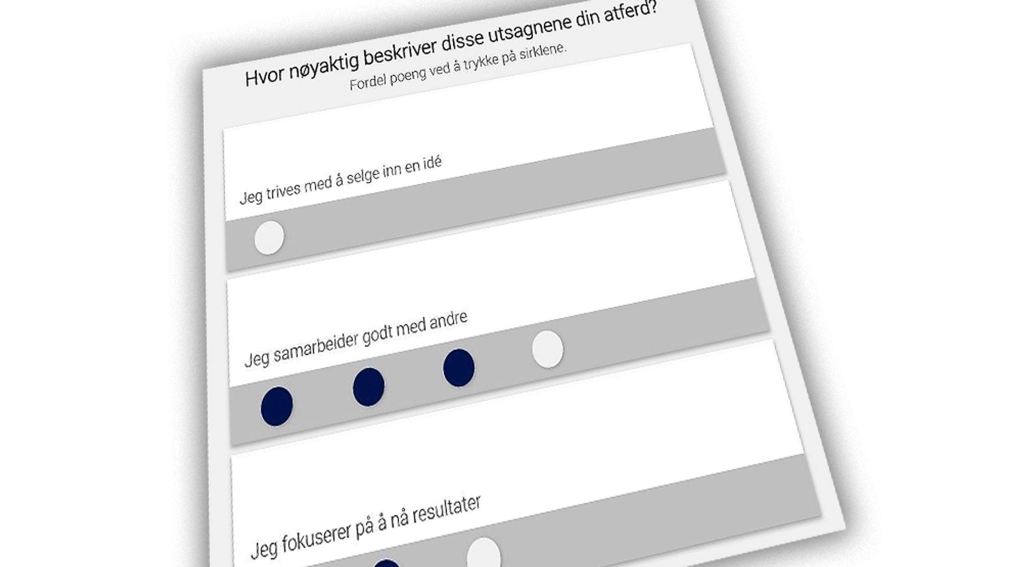 Personlighetstesten skal ikke si hvem du er, men hvordan du vil fungere i jobben.