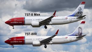 737-max-8.300x169.jpg