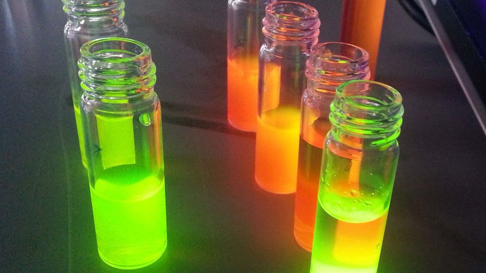 Ved å bruke kjemien til å få ammonium-ionene til «selv» å lyse opp et fluorescerende indikatorfargestoff kan man via en optisk fiber måle forekomsten i sanntid.