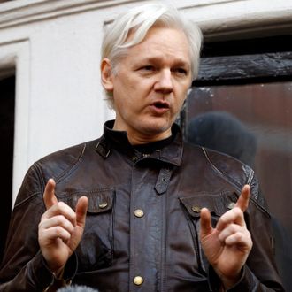 Wikileaks-gründer Julian Assange.