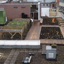 Greenbeat Rainbrain blågrønne tak sensorer iot