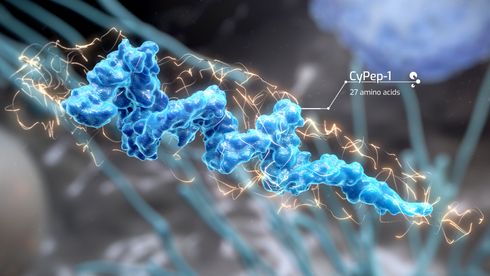 Molekyl gjenkjenner og angriper kreftceller – nå testes den norske medisinen