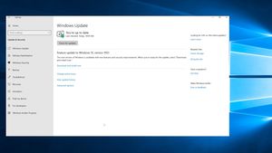 Win10May2019Update.300x169.jpg