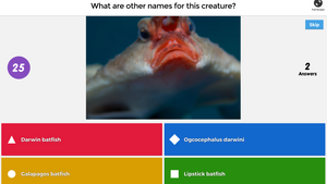 Kahoot_desktop_game_questionscreen.300x1