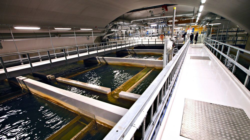 De siste årene har det blitt flere innbyggere i Norge som har fått registrert E. coli-bakterie i drikkevannet, ifølge tallene fra Statistisk sentralbyrå. Illustrasjonsbilde fra Oset vannrenseanlegg i Oslo.