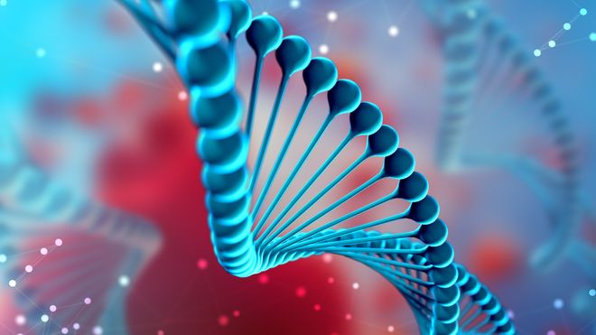 Russer vil også skape CRISPR-babyer: «Eugenikk er uunngåelig»