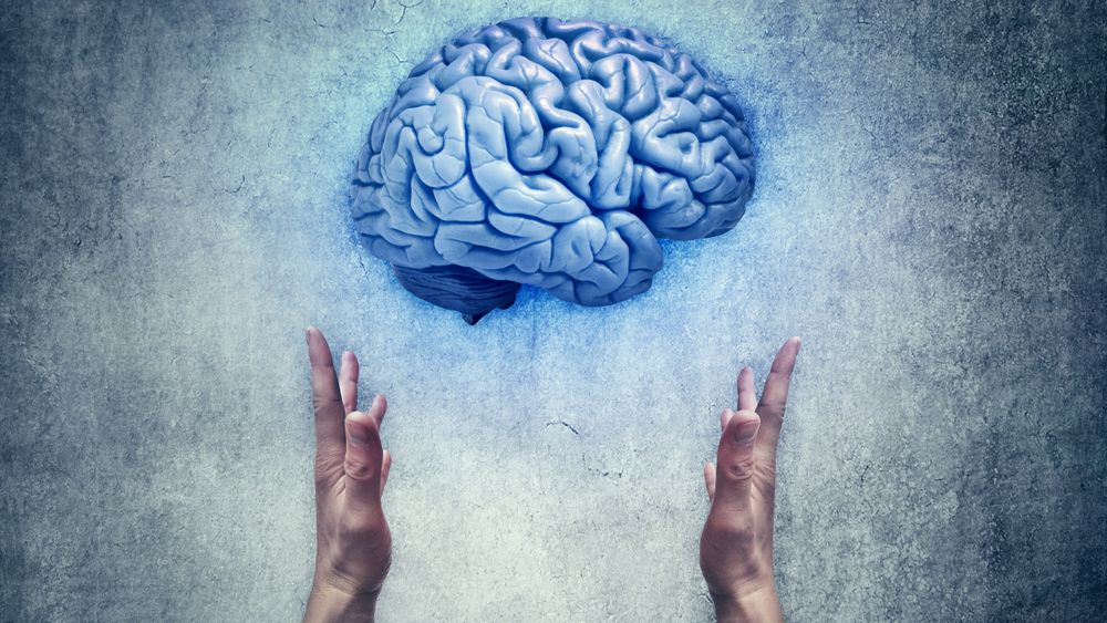 Intellectual protection. Closeup of two human hands holding a blue brain. Save intelligence and mental health concept
