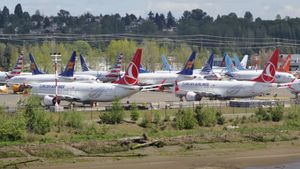 Boeing_737_MAX_grounded_aircraft_near_Bo