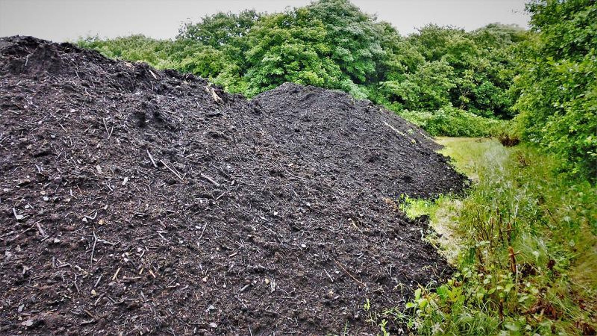 Stadig flere økologiske bønder bruker kompostert hage-parkavfall som jordforbedring. Men spørsmålet er hvor høyt pesticid-innholdet er.