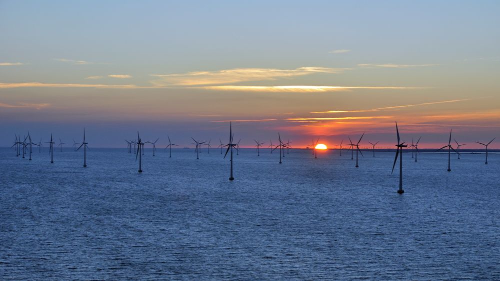 Det er billigere med kystnær havvind enn store offshoreprosjekter, konkluderer en dansk foranalyse.