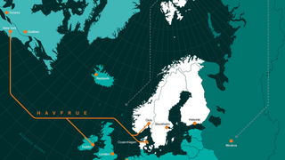 Havfruekabelen er den siste, men langt fra den eneste transatlantiske undervannskabelen. De kan alle sees på nettstedet submarinecablemap.com. Denne tegningen er laget av Bulk Infrastructure, som er en av eierne av kabelen. Landingspunkt i Norge er på Odderøya utenfor Kristiansand.