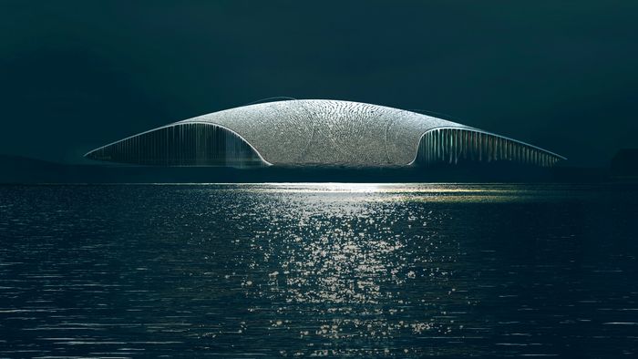 The Whale Dorte Mandrup hval observasjonssenter Andøy Andsnes museum opplevelsessenter turisme