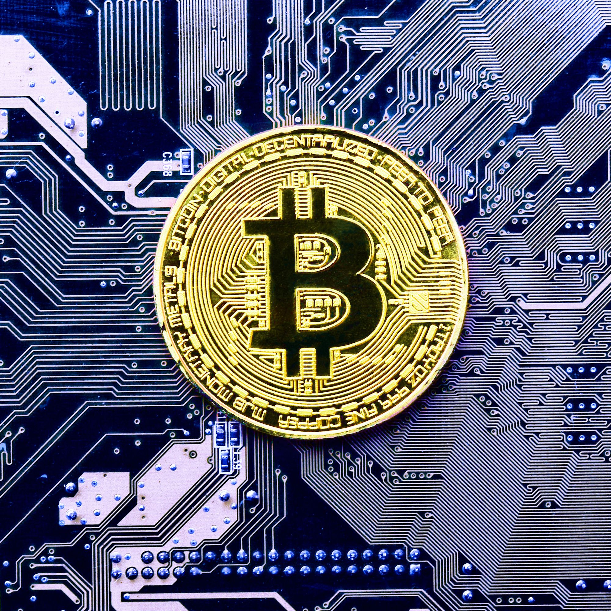 Kryptobørs-investorer vil grave opp liket av avdød grunnlegger | Digi.no