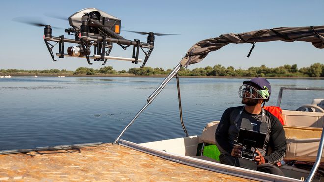 Med droner kan BBC filme 15 centimeter fra albatrossens nebb