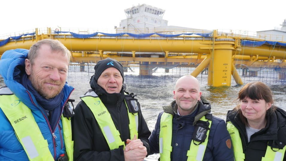 Fra venstre: Ove Fredeheim, leder for Telenors bedriftsdivisjon, konsernsjef Sigve Brekke, Rune Wilhelmsen, leder for Telenors Smart havbruk, og regiondirektør for Midt-Norge, Berit Evjen.