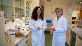 Rebecca Blell (t.v.) forsker på cellulosefiber på Borregaard i Sarpsborg. Her står hun sammen med forskningssjef Kristin Misund.