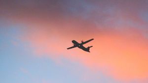 /2513/2513850/airplane-on-sky-during-golden-hour-1161161-1100x551.300x169.jpg