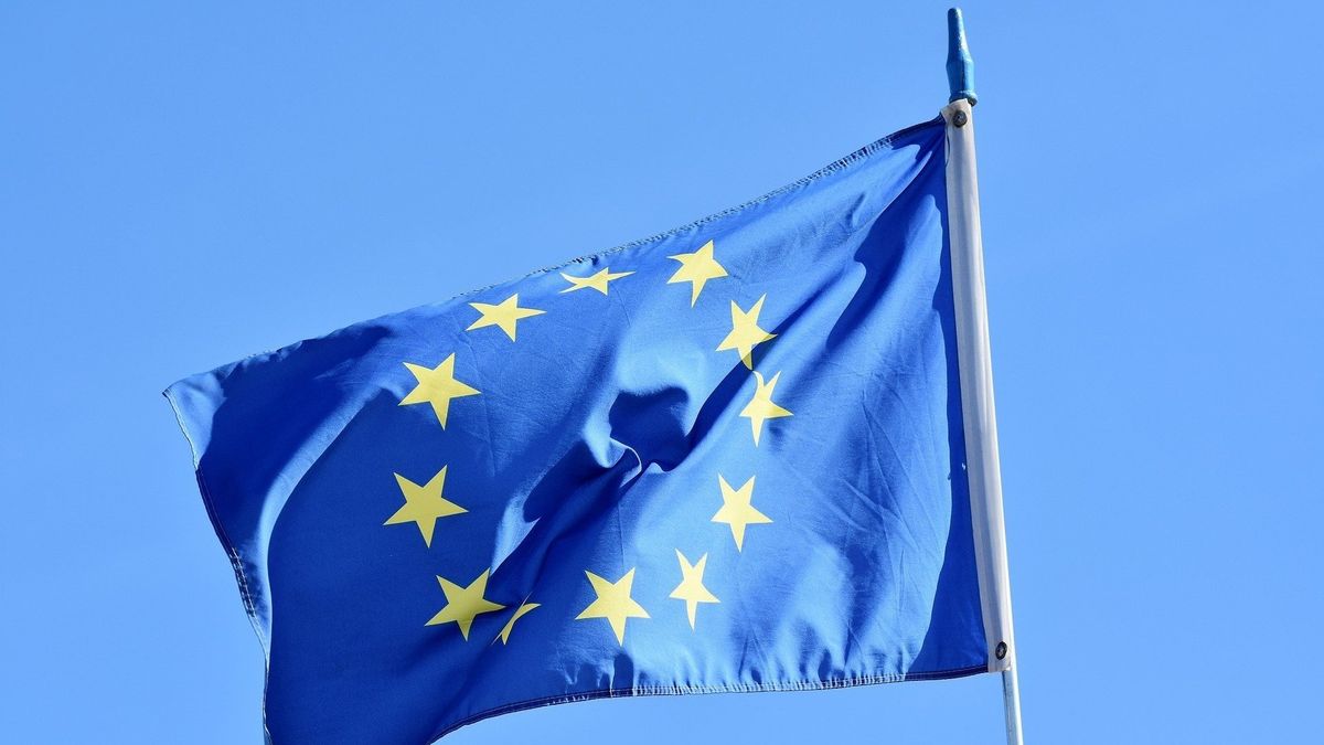 – EUs «Green Deal» skal ikke bare redde oss fra klimakrisen, men også den neste finanskrisen