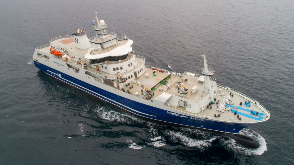 Norwegian Gannet fraktet mindre en en tredjedel av laksen den hadde budsjettert med i løpet av den første perioden i drift.