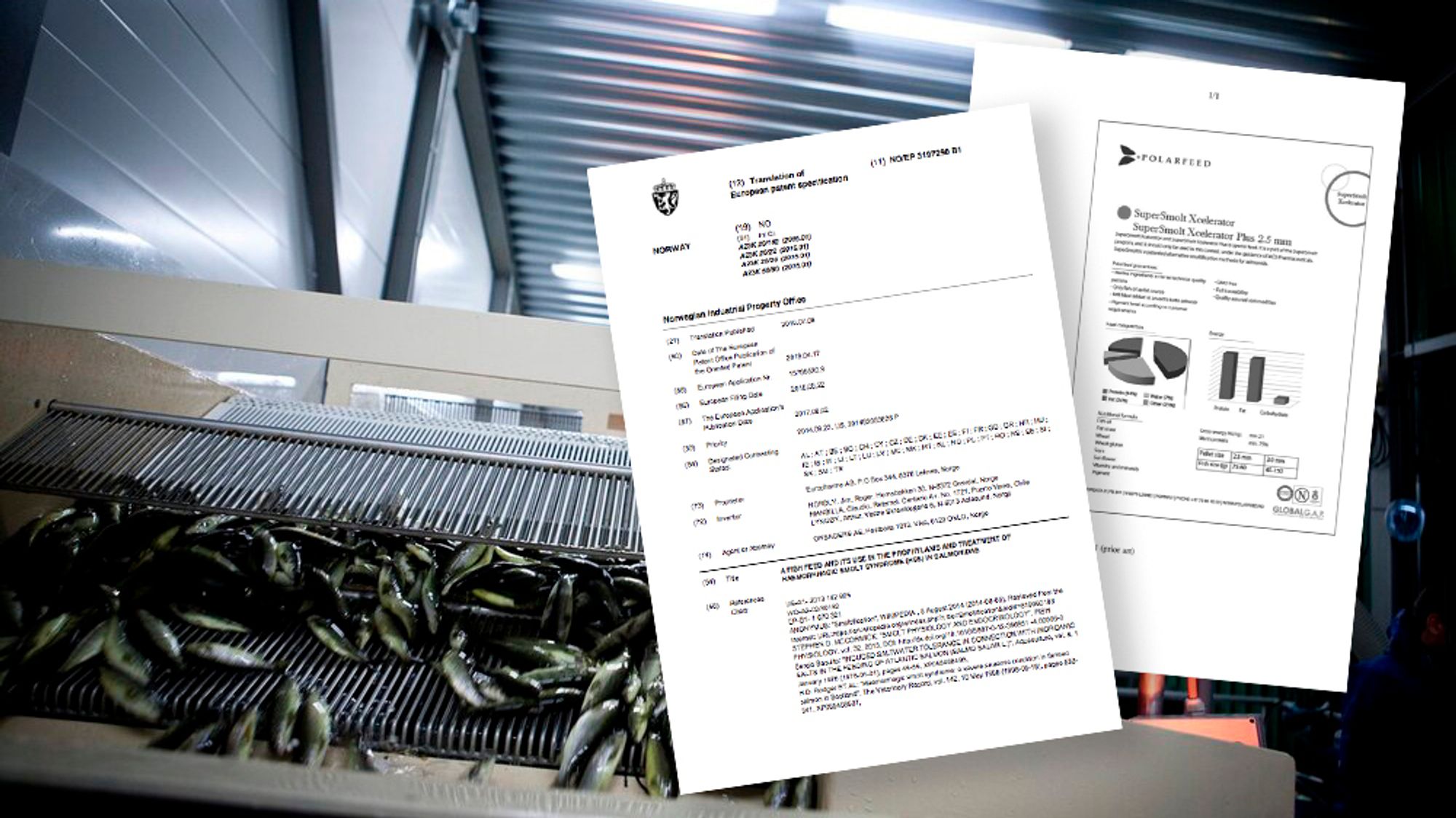 Fiskefôr-patentet har skapt grunnlaget for flere hundre millioner kroner i inntekter.