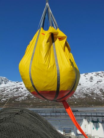 Bilde av NOFI sin miljøbag